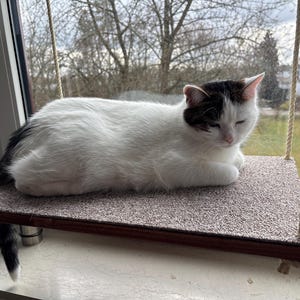 Verena heeft een foto van de aankoop toegevoegd