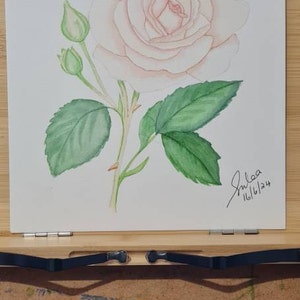 Sue added a photo of their purchase