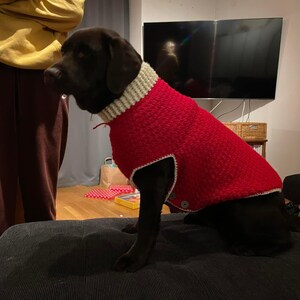 Large Dog Sweater CROCHET PATTERN - Etsy