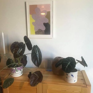 Anna added a photo of their purchase