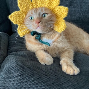 Abby added a photo of their purchase