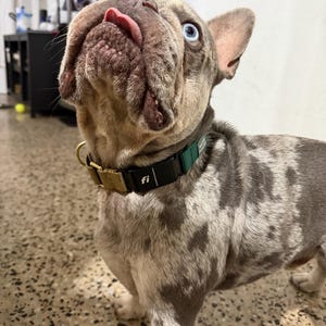 Rosa added a photo of their purchase