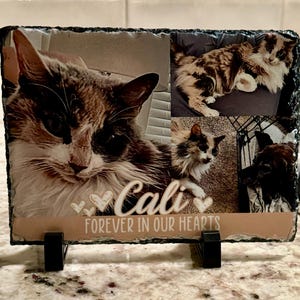 Renee added a photo of their purchase