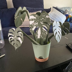 Jenna added a photo of their purchase