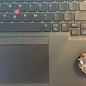 Lisa added a photo of their purchase