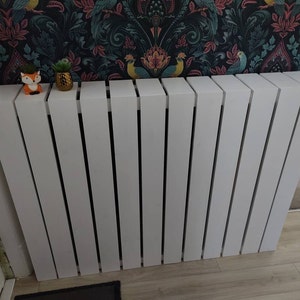 Richard added a photo of their purchase