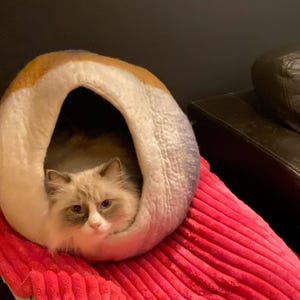 Alison added a photo of their purchase