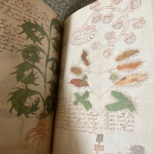 tom ha añadido una foto de su compra