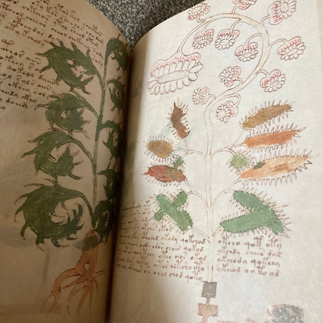 ヴォイニッチ手稿 完全版、ハンドメイドレザー - Etsy 日本