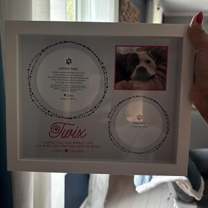 Diy Hacks for Pet Paw Cleaning After Trips: Easy & Effective Tips