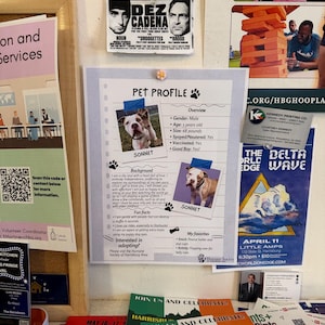 Hilary heeft een foto van zijn/haar aankoop toegevoegd