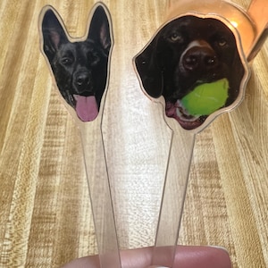 Kayla added a photo of their purchase