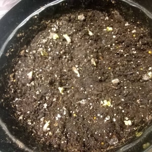 Kristy ha añadido una foto de su compra