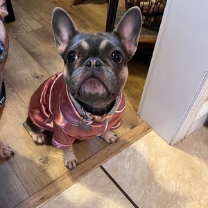 Bulldog Costume For Kids Dog Pajamas Set Soft Breathable PJs