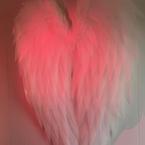 Large white wings, angel wings , wings for foto shoot Higth - 180cm/70inch