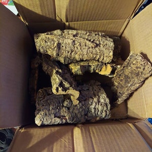 Cork Bark Rounds 2 Lbs Animal Hides in a Terrarium / - Etsy