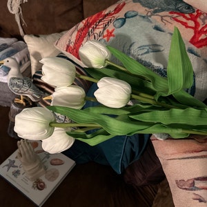 Audrey added a photo of their purchase