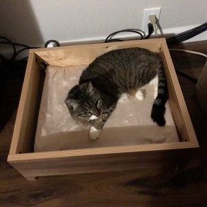 curio litter box