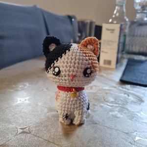 Paola added a photo of their purchase