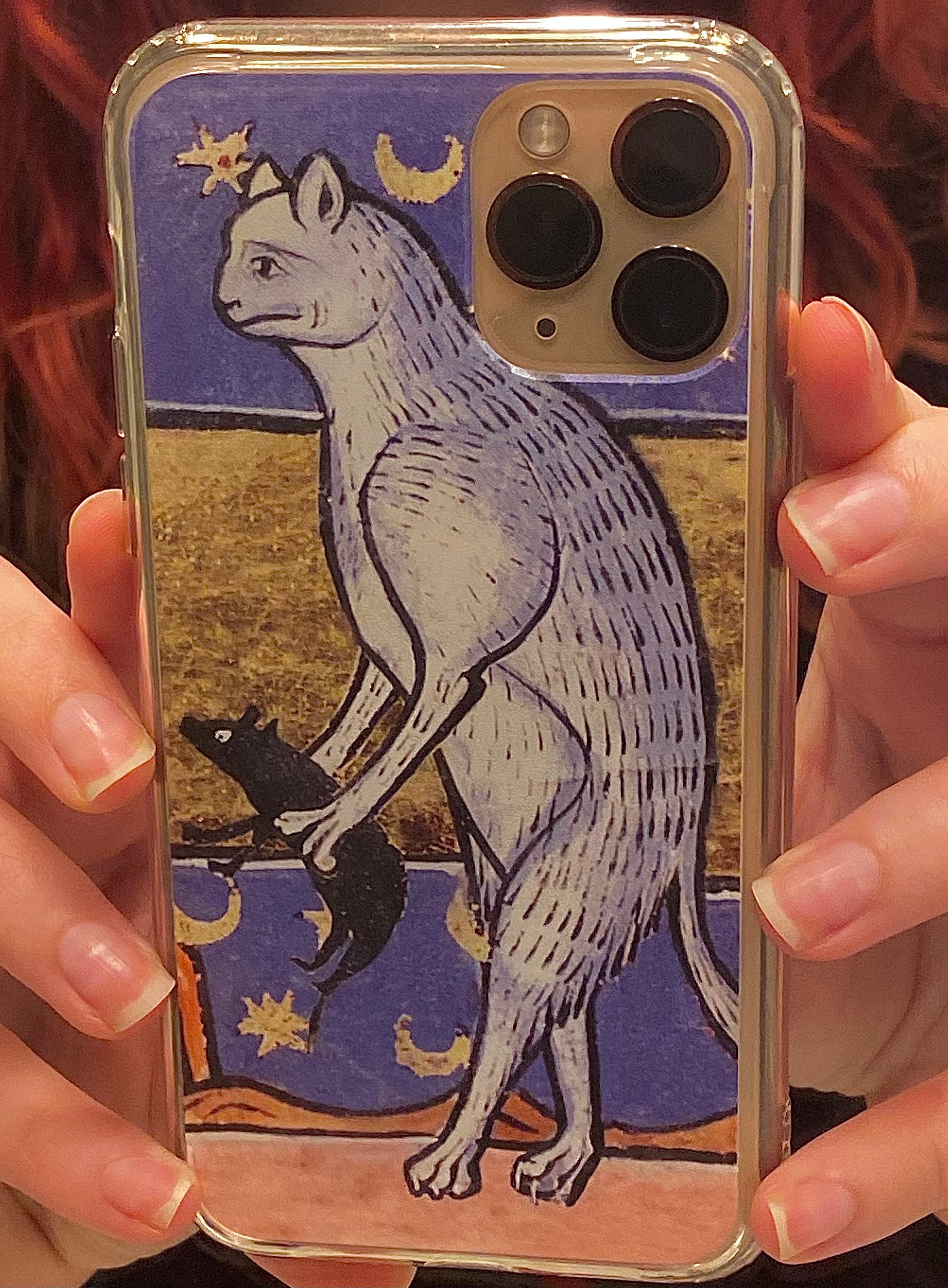Funny Medieval IPhone Case with cat and Rat from Middle Ages Artist