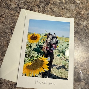 Cas added a photo of their purchase