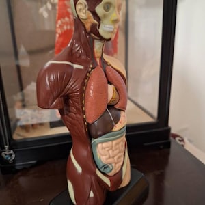 Darren added a photo of their purchase