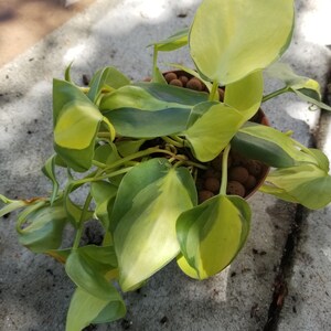 Christina added a photo of their purchase