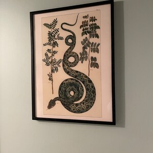 ANTIQUE NATURE PRINT, Vintage Serpent Print, Professional Reproduction