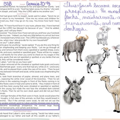 Procreate Buildings Stamps 100 Different Style Buildings Procreate ...