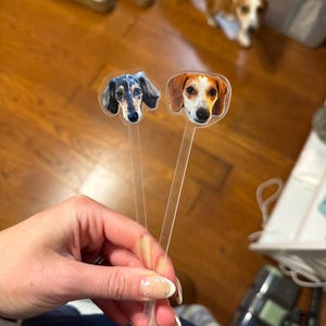 Taylor added a photo of their purchase