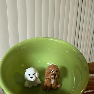Graciela added a photo of their purchase