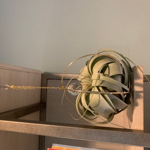 Aliya added a photo of their purchase