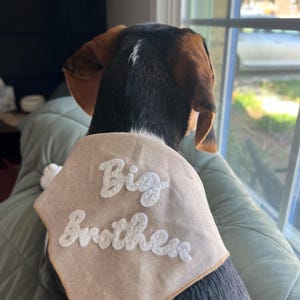 Andrea added a photo of their purchase
