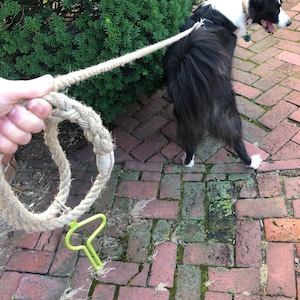 Hayley added a photo of their purchase