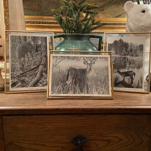 EstyJackie added a photo of their purchase