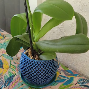 Vesper added a photo of their purchase