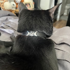 Netanya added a photo of their purchase