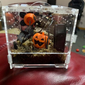 lisa added a photo of their purchase
