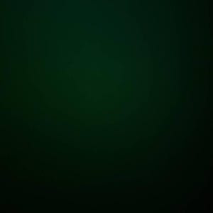 Chelsea added a photo of their purchase