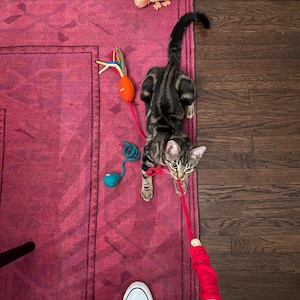 Regina added a photo of their purchase