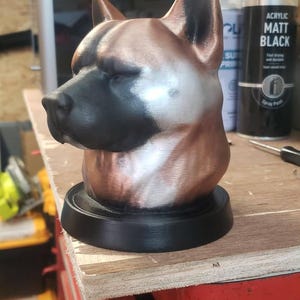 Caroline added a photo of their purchase