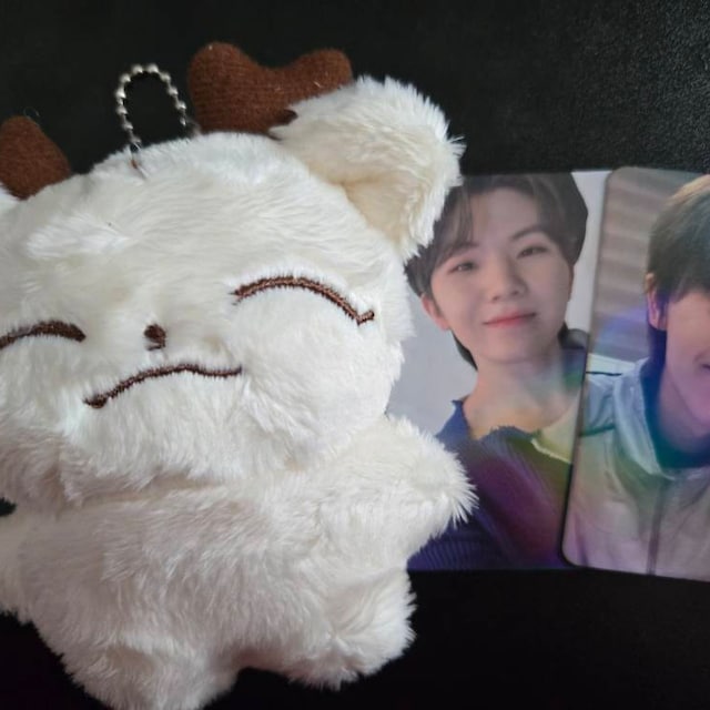 Seventeen Hoshi Plushie 10cm - Etsy