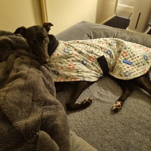 Caitlyn ha añadido una foto de su compra