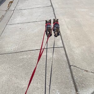 Two added a photo of their purchase