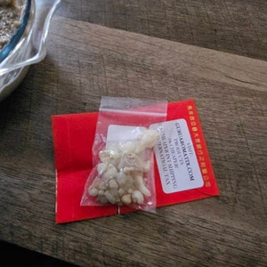 Sofia adicionaram uma foto da sua compra