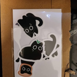 Jordy ha aggiunto una foto del proprio acquisto