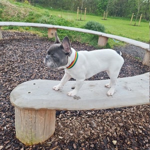 Travina added a photo of their purchase