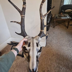 Nicholas ha añadido una foto de su compra