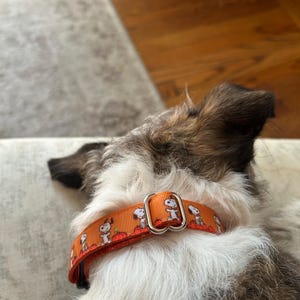 Jacqueline added a photo of their purchase