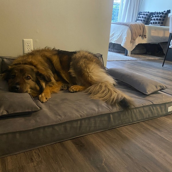 Image showcasing Anxiety Relief Pet Blanket Mat, Luxury Pet Cover, Cream Washable ...
